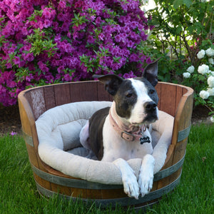Wine barrel dog bed with dog and flowers 