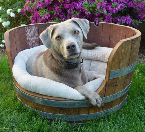 Wine barrel dog bed with dog and flowers 